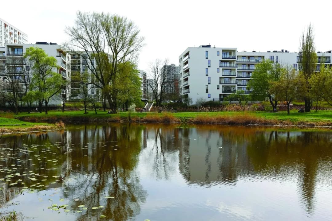 Jakie drzewa sadzić na osiedlach - wybierz najlepsze gatunki dla alergików