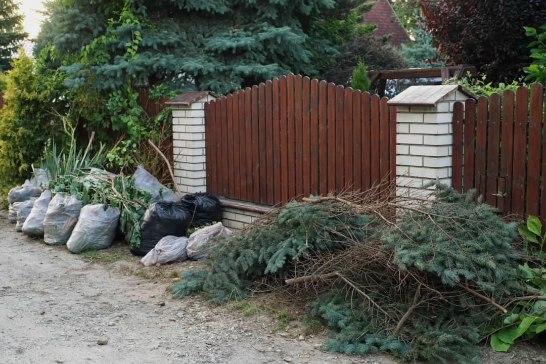 Gdzie wywieźć śmieci z działki? Proste sposoby na szybkie pozbycie się odpadów Gdzie wywieźć śmieci z działki? Proste sposoby na szybkie pozbycie się odpadów